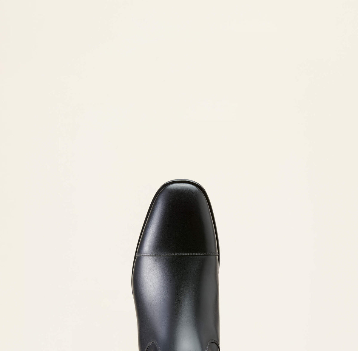 Ariat Ravello Dress Tall Riding Boot